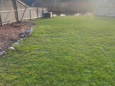 Lawn care service in Waterford Township, 48328
