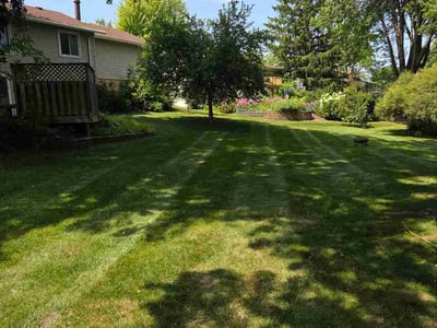 Lawn care service in Chanhassen, 55317