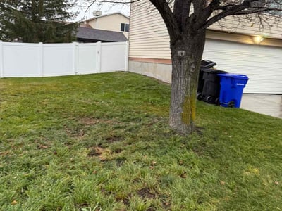 Lawn care service in West Jordan, 84081