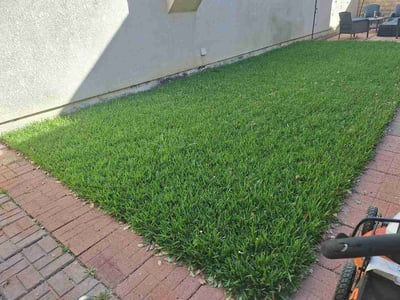 Lawn care service in Simi Valley, 93063