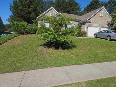 Lawn care service in Loganville, 30052