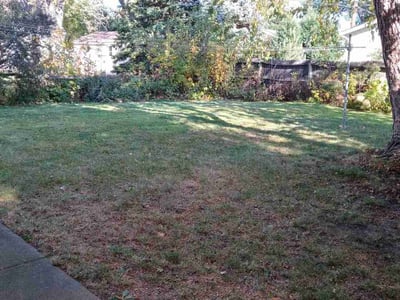 Lawn care service in Roseville, 55113