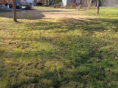 Lawn care service in Cincinnati, 45230