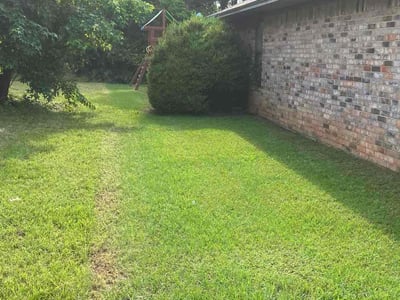 Lawn care service in Tyler, 75703
