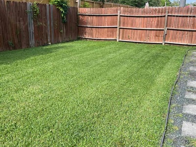 Lawn care service in Houston, 77091