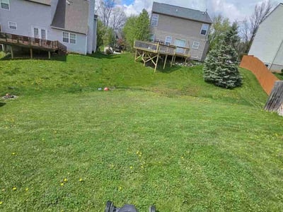 Lawn care service in Indianapolis, 46214
