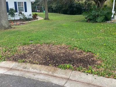 Lawn care service in Winter Haven, 33884