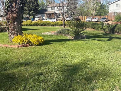 Lawn care service in Golden, 80401