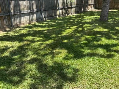 Lawn care service in Arlington, 76017