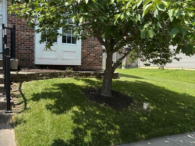 Lawn care service in Perry Hall, 21236