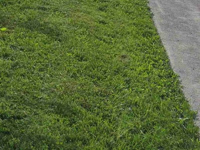 Lawn care service in Orchard Park, 14127