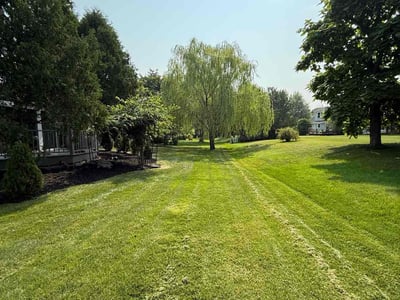 Lawn care service in Menomonee Falls, 53051