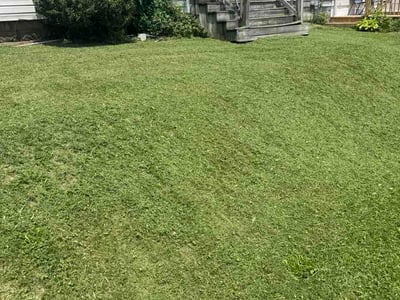 Lawn care service in Mansfield, 44907