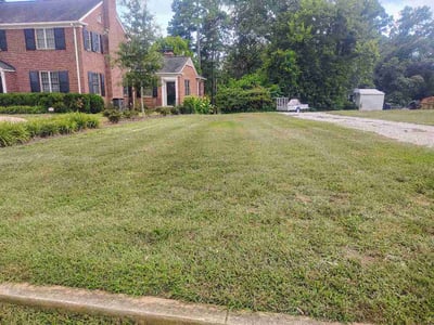 Lawn care service in Anderson, 29621