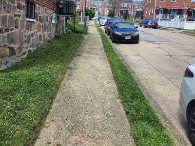 Lawn care service in Baltimore, 21216