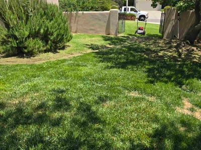 Lawn care service in Albuquerque, 87111