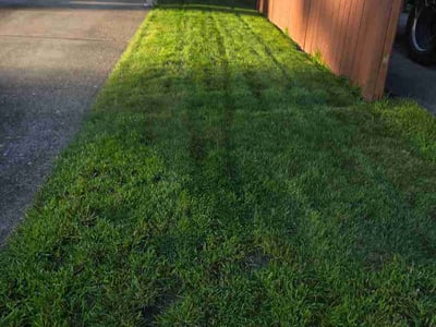 Lawn care service in Portland, 97266