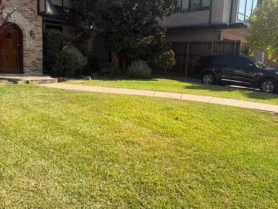 Lawn care service in Dallas, 75206