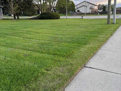 Lawn care service in Sycamore, 60178