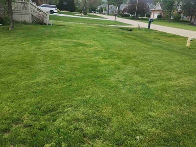 Lawn care service in Elmhurst, 60126