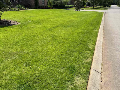 Lawn care service in Franklin, 37069