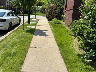 Lawn care service in Pittsburgh, 15217
