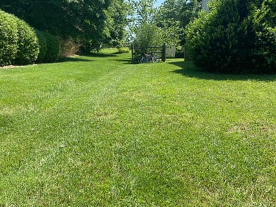 Lawn care service in Mooresville, 28117