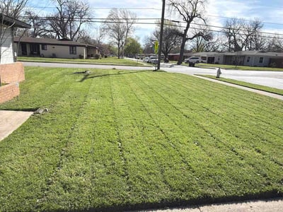 Lawn care service in Fort Worth, 76114