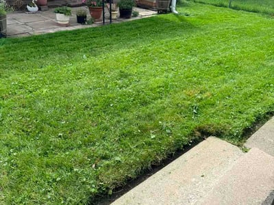 Lawn care service in Chicago, 60620