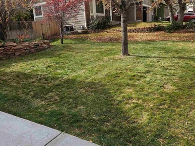 Lawn care service in Arvada, 80004