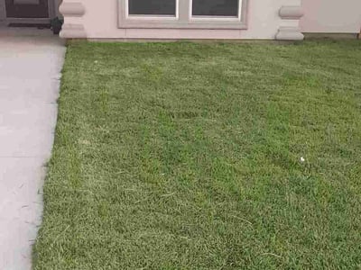Lawn care service in Corpus Christi, 78414