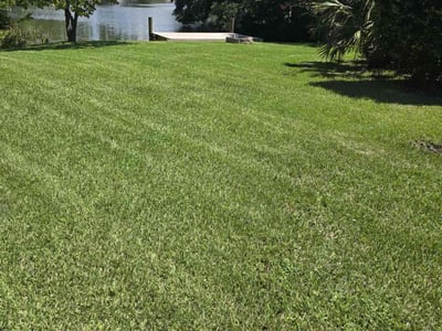 Lawn care service in Virginia Beach, 23455