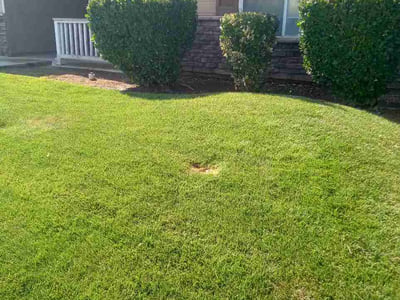 Lawn care service in Fresno, 93722