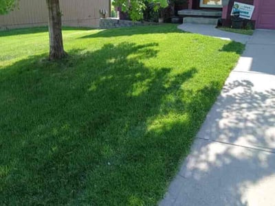 Lawn care service in Omaha, 68135
