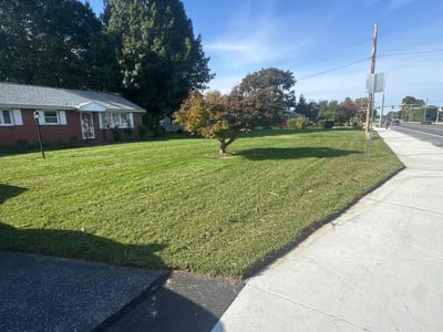 Lawn care service in Dover, 19904