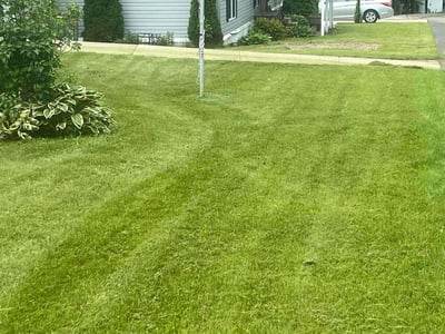 Lawn care service in Erie, 16509