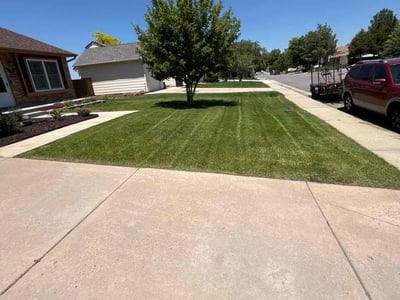 Lawn care service in Aurora, 80017