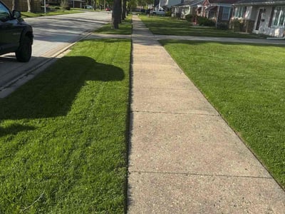 Lawn care service in Oak Lawn, 60453