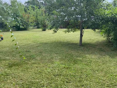 Lawn care service in Swansea, 62226