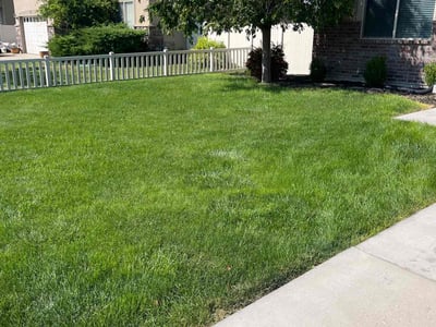 Lawn care service in Lehi, 84043