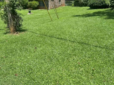 Lawn care service in Douglasville, 30135