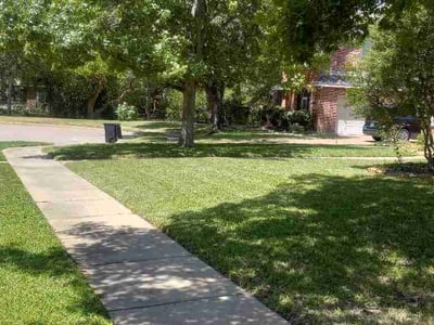 Lawn care service in Euless, 76039