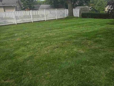 Lawn care service in Cedar Lake, 46303