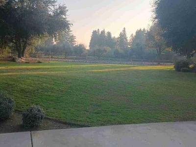 Lawn care service in Fresno, 93723