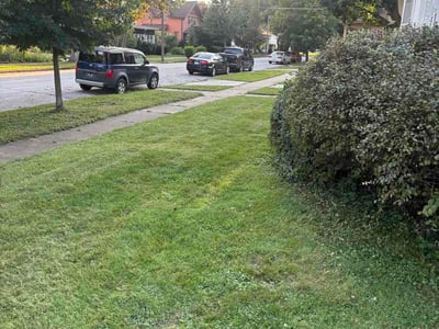 Lawn care service in Cedar Falls, 50613