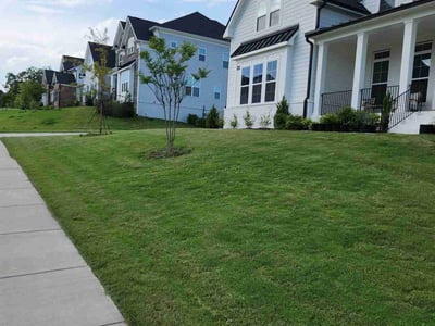 Lawn care service in Apex, 27502