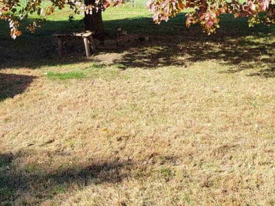 Lawn care service in Coon Rapids, 55433