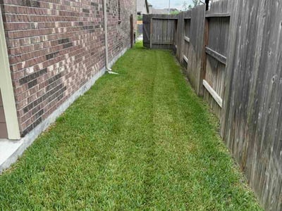 Lawn care service in Spring, 77386