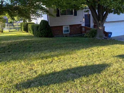 Lawn care service in , 