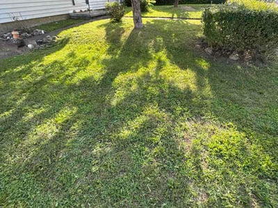 Lawn care service in Uniontown, 15401